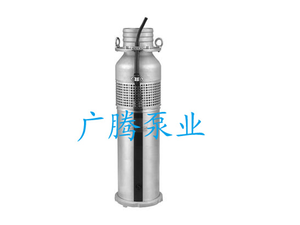 不锈钢充油式潜水电泵（喷泉泵）
